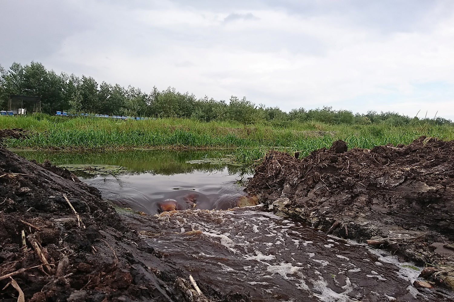 Disturbed peatlands are a hotspot for carbon emissions