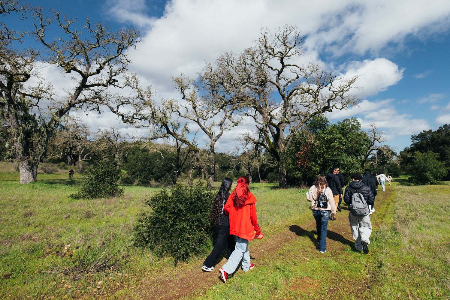 students walk past oaks on Jasper Ridge trail