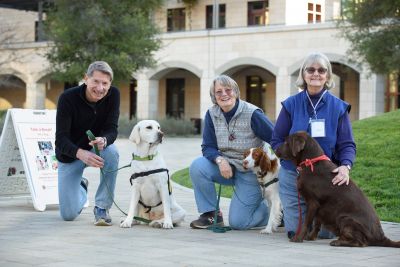 therapy dogs