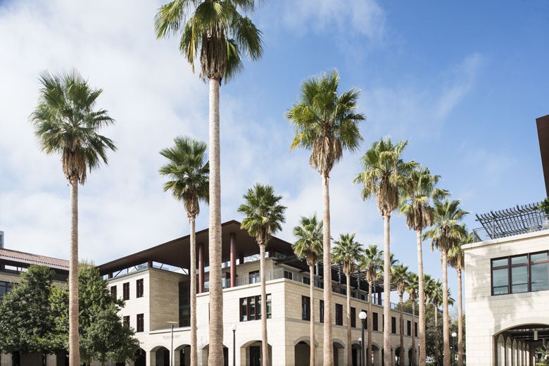 Stanford Engineering building with palm trees