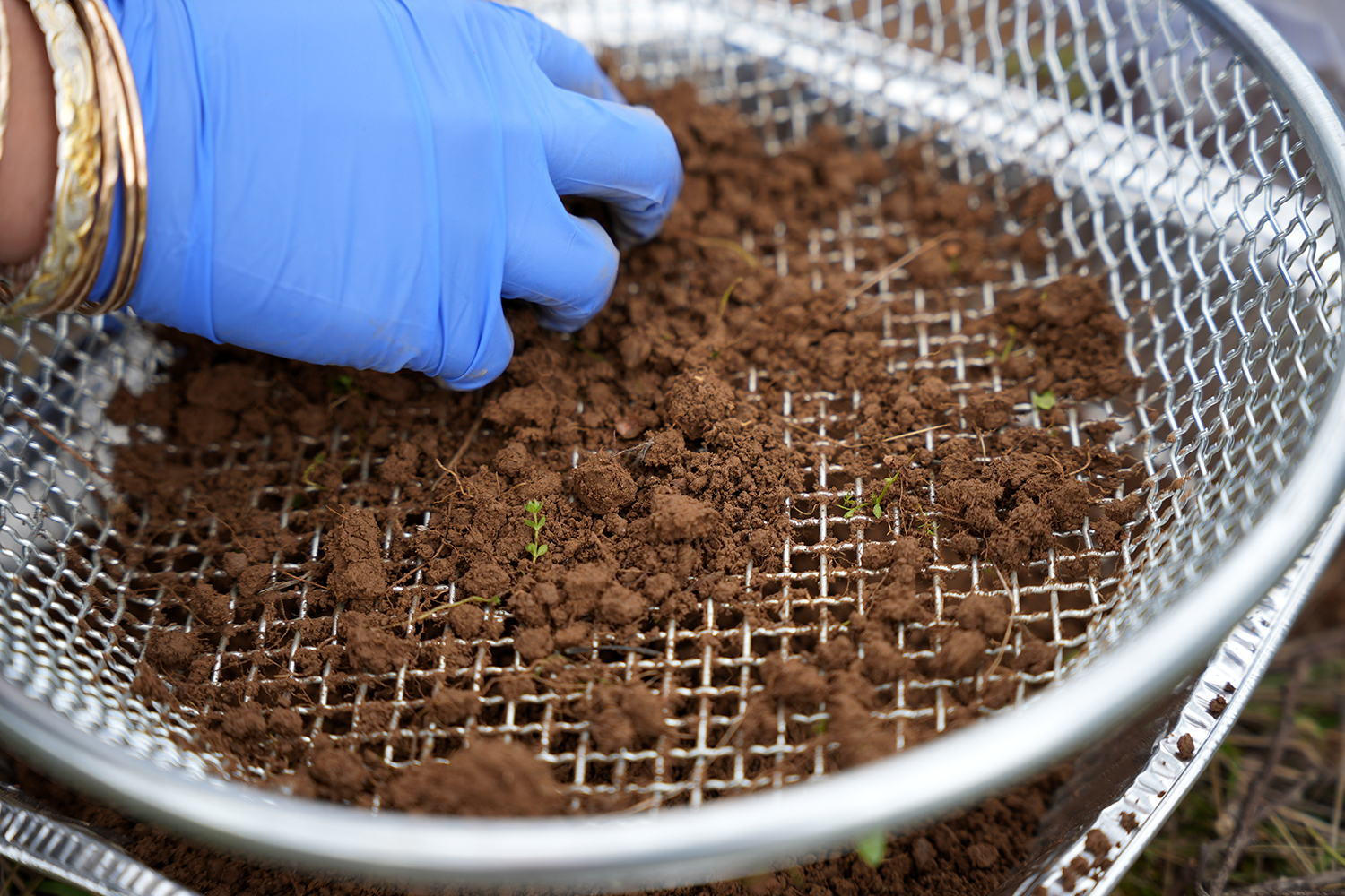 The soil samples that students collected seen close up.