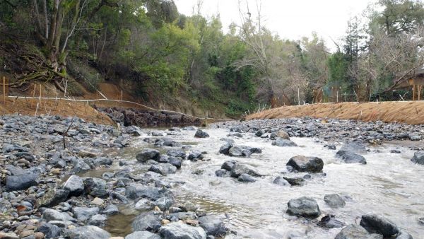 Lagunita creek still