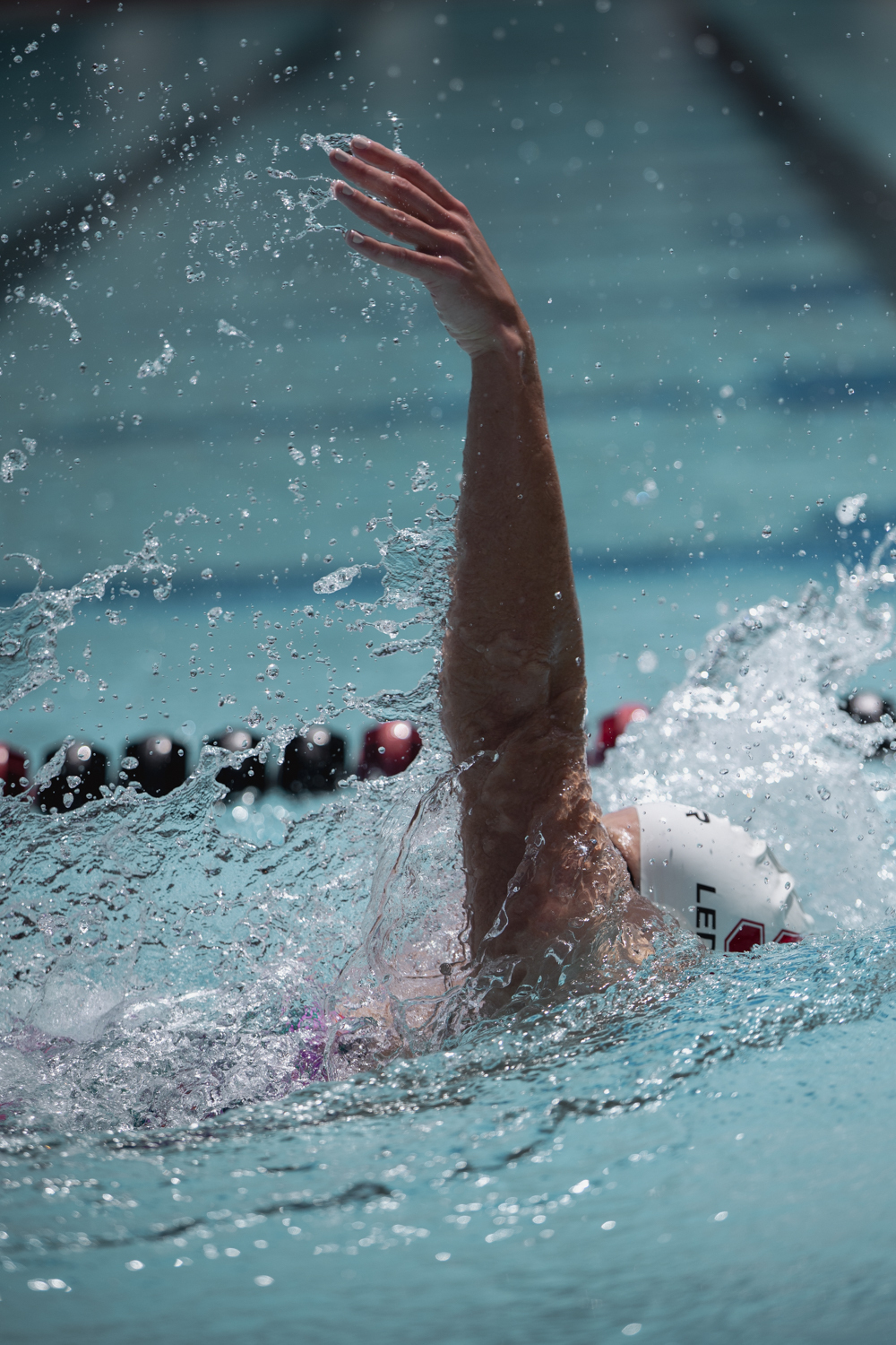 Katie Ledecky swims laps at Stanford