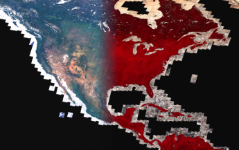 Map of the United States created from Google Earth Engine data showing higher vegetation on the eastern side of the country in red