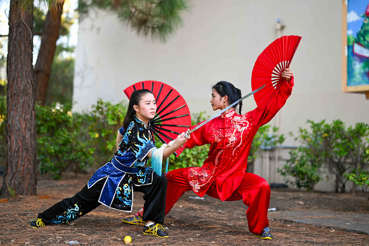 wushu demo