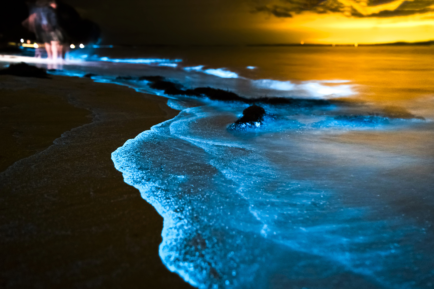 Bioluminescent waves glow bright blue along a beach shore at night under an orange sky.