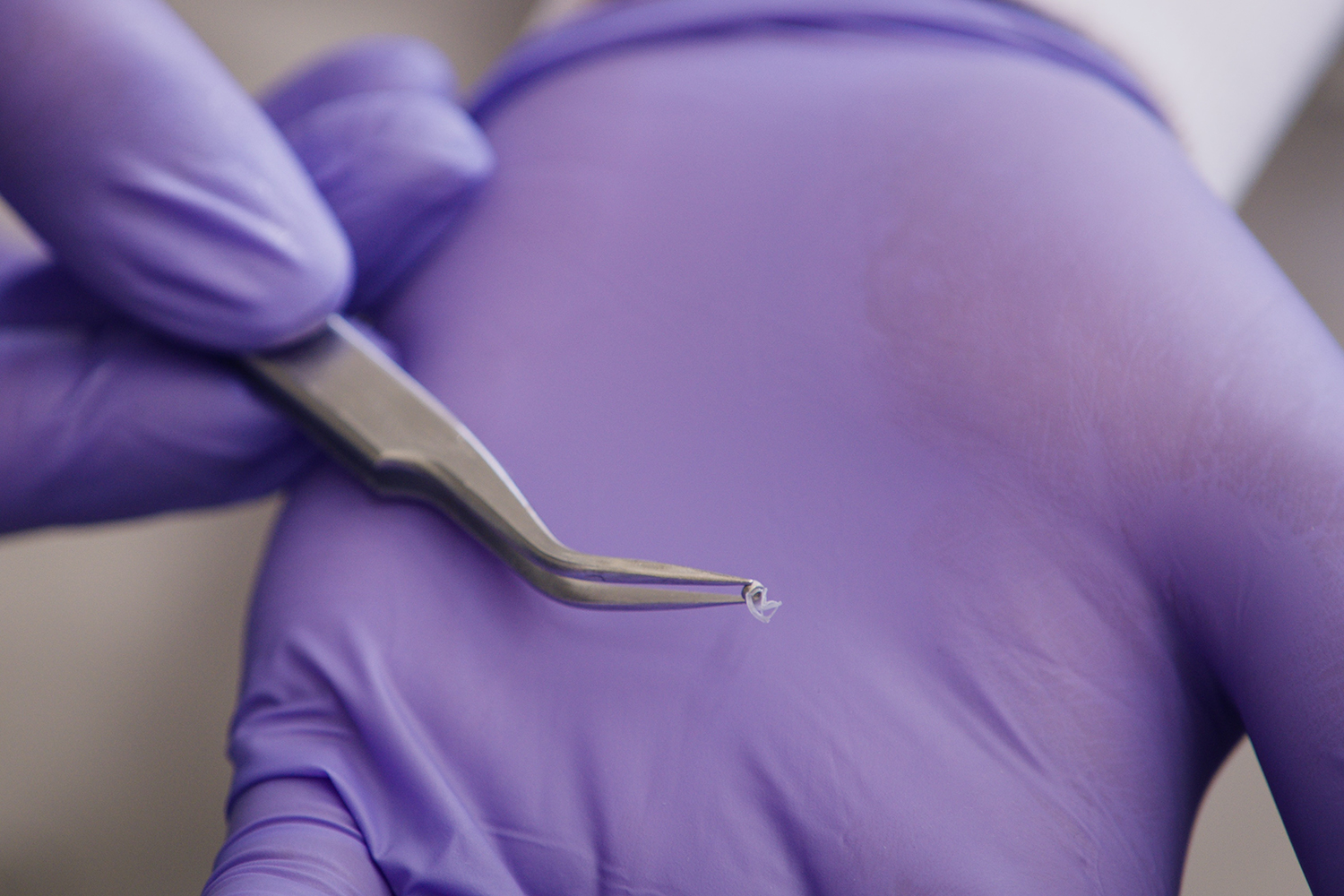 Gloved hands hold tweezers gripping a tiny robotic device..