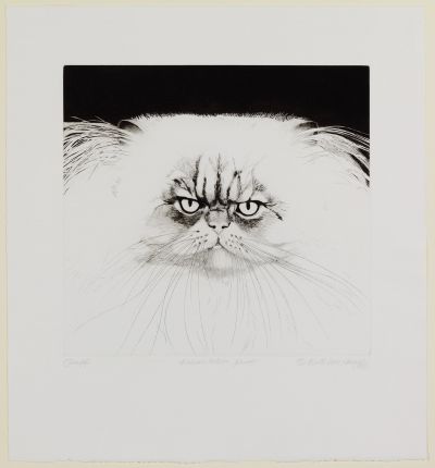 This grumpy Persian cat does not seem thrilled to be sitting for artist Beth van Hoesen, AB ’48.
