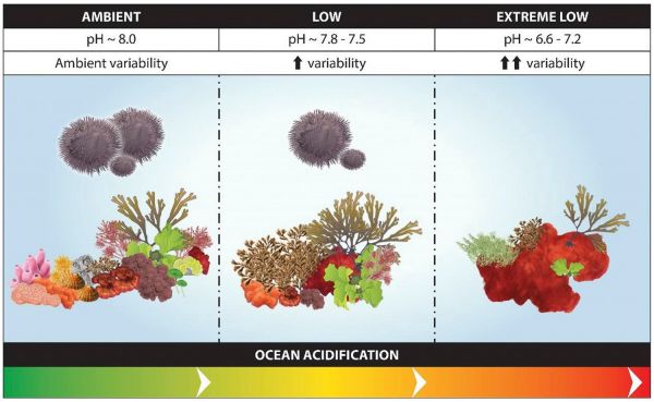 Biodiversity loss is mapped along a natural CO2 gradient.