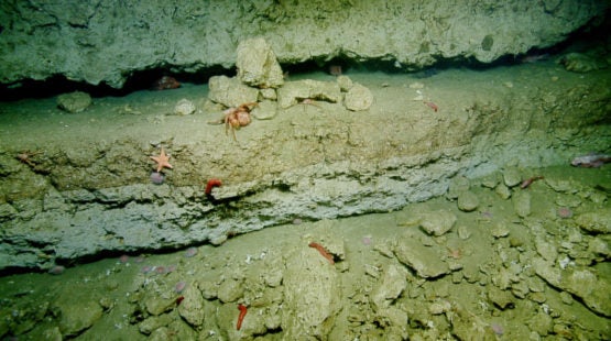 Underwater Catalina ancient beaches