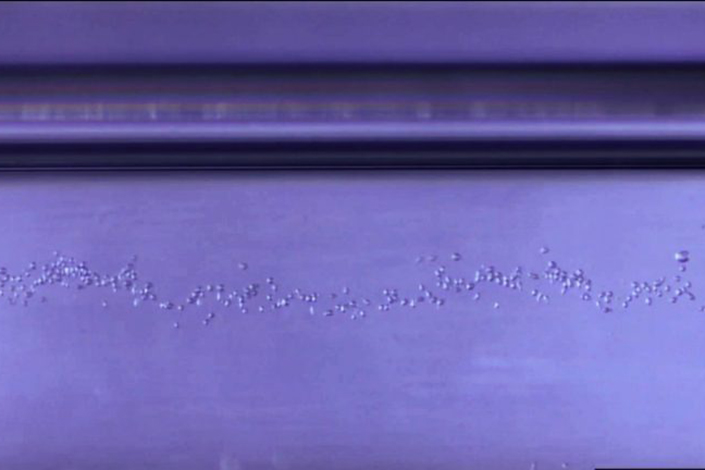 Image of an Electro-LEV levitating cells.
