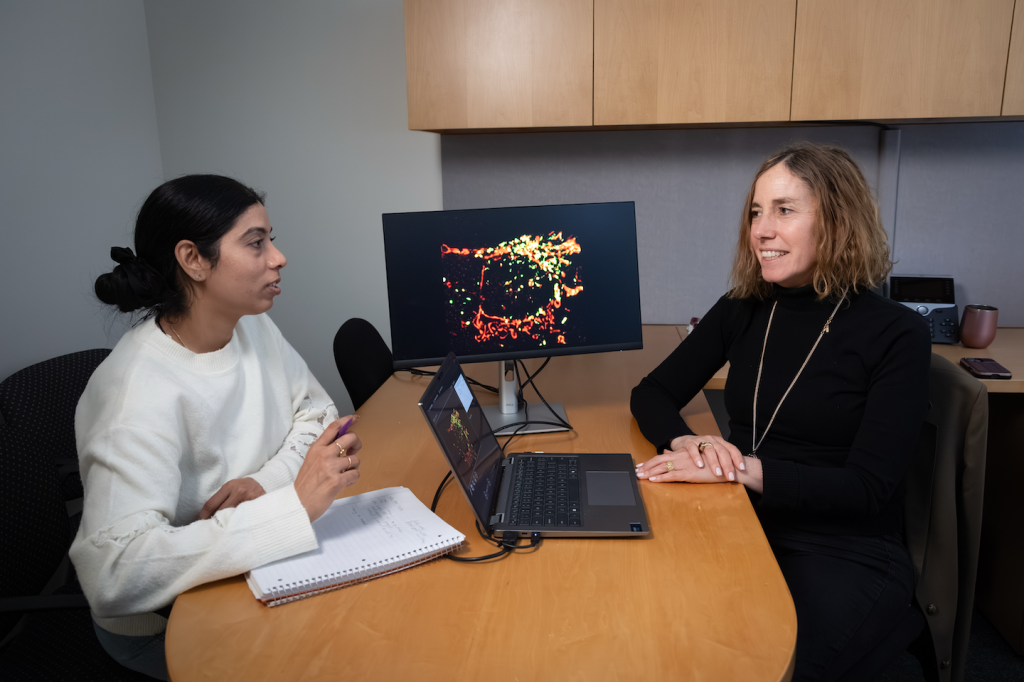 Manjari Mishra and Shirit Einav in discussion at a table with a computer monitor.