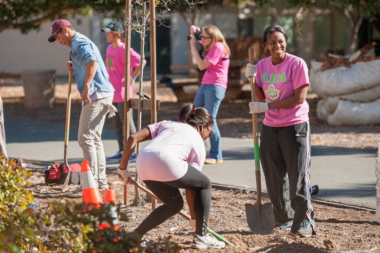 Students planting trees at Stanford