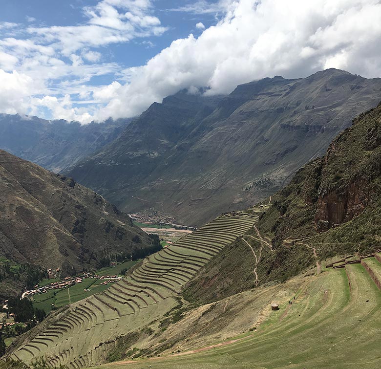 Terraced farm fields in South America