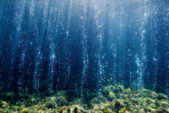 Volcanic carbon dioxide seeps from the ocean floor near Ischia, Italy.