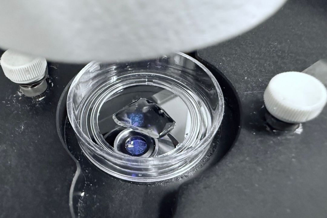 Detail of microscope used to view tagged ribosomes in cell. 