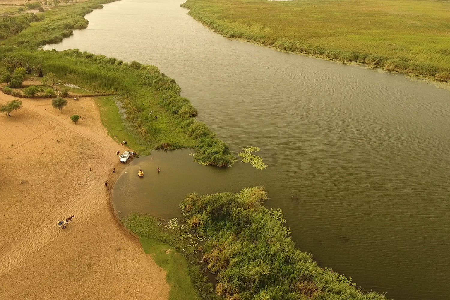 Aerial view of a riverbank with lush vegetation, sandy areas, and people engaging in activities near the water.