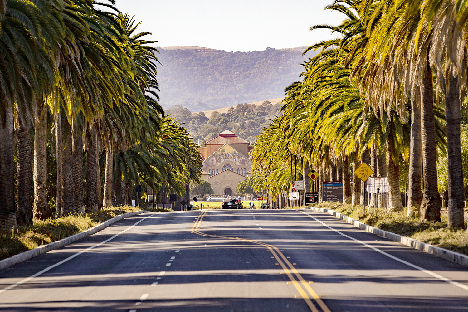 Palm tree-lined road leading to Stanford Memorial Church with foothills in the background.