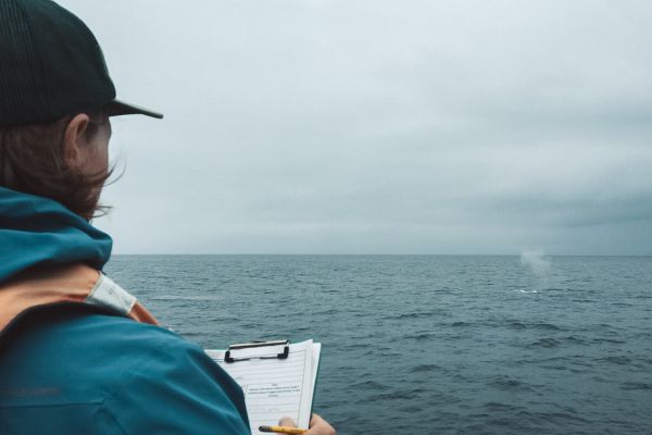 Will with a clipboard looking out at a blow from a blue whale