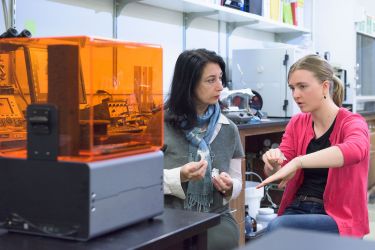 Scientists Study On Rooks Stanford scientists study how to print rocks in 3-D | Stanford Report