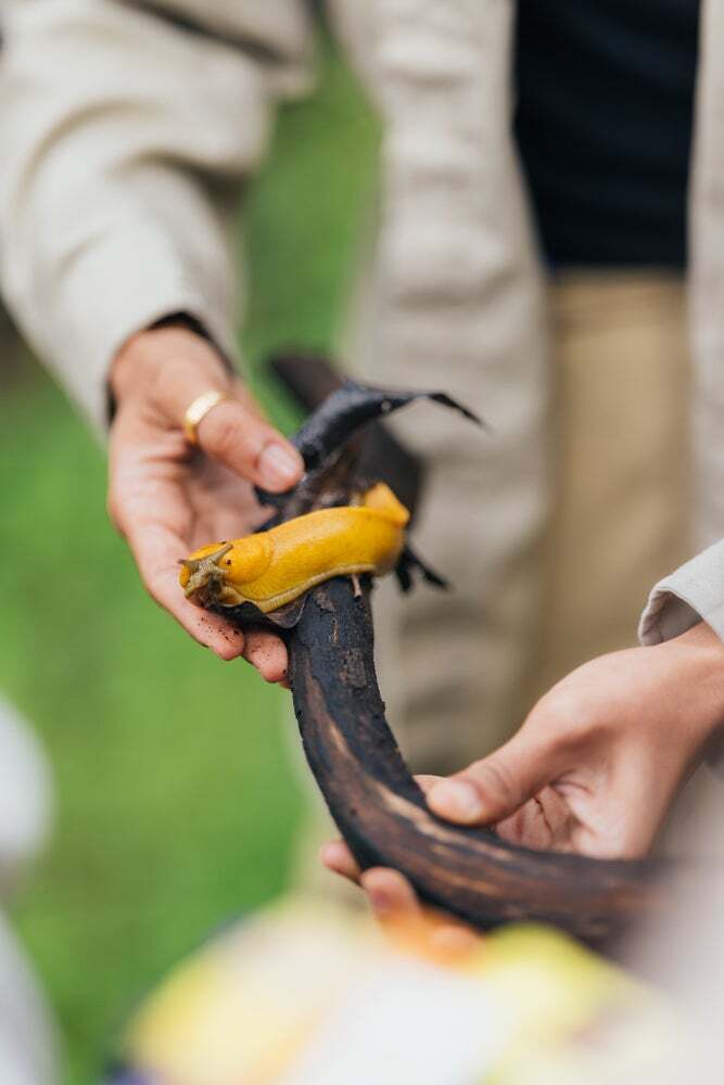student holds branch with banana slug