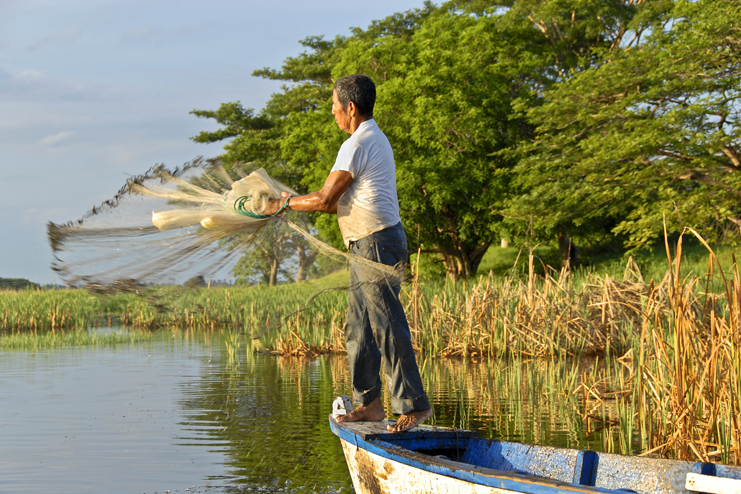 Guatemala mangrove fishing