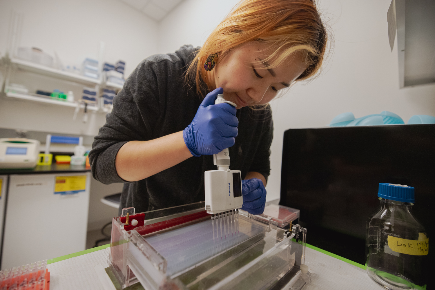 Image of Lia Kim checking DNA samples in Peay's lab.