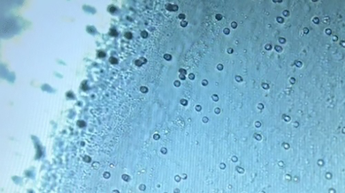 Image of porous beads in wastewater to remove contamination.