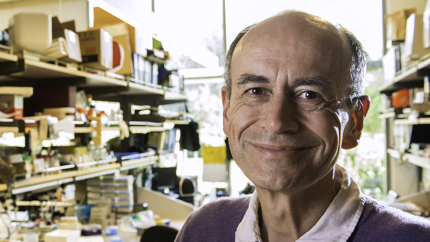 Thomas Sudhof stands in a laboratory filled with shelves of equipment and supplies, highlighting a research environment.