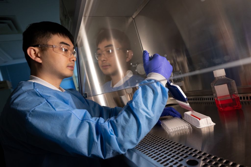 Chieh-Wen Lo using a pipette inside a biosafety cabinet with protective equipment.