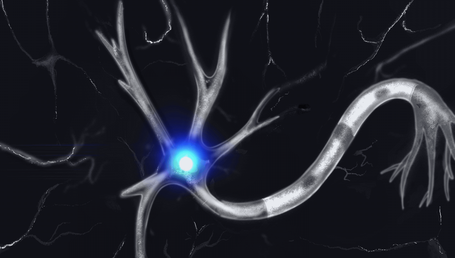 Animation of a neuron with branching dendrites and a long segmented axon, with a bright blue glow at the cell body against a dark background.