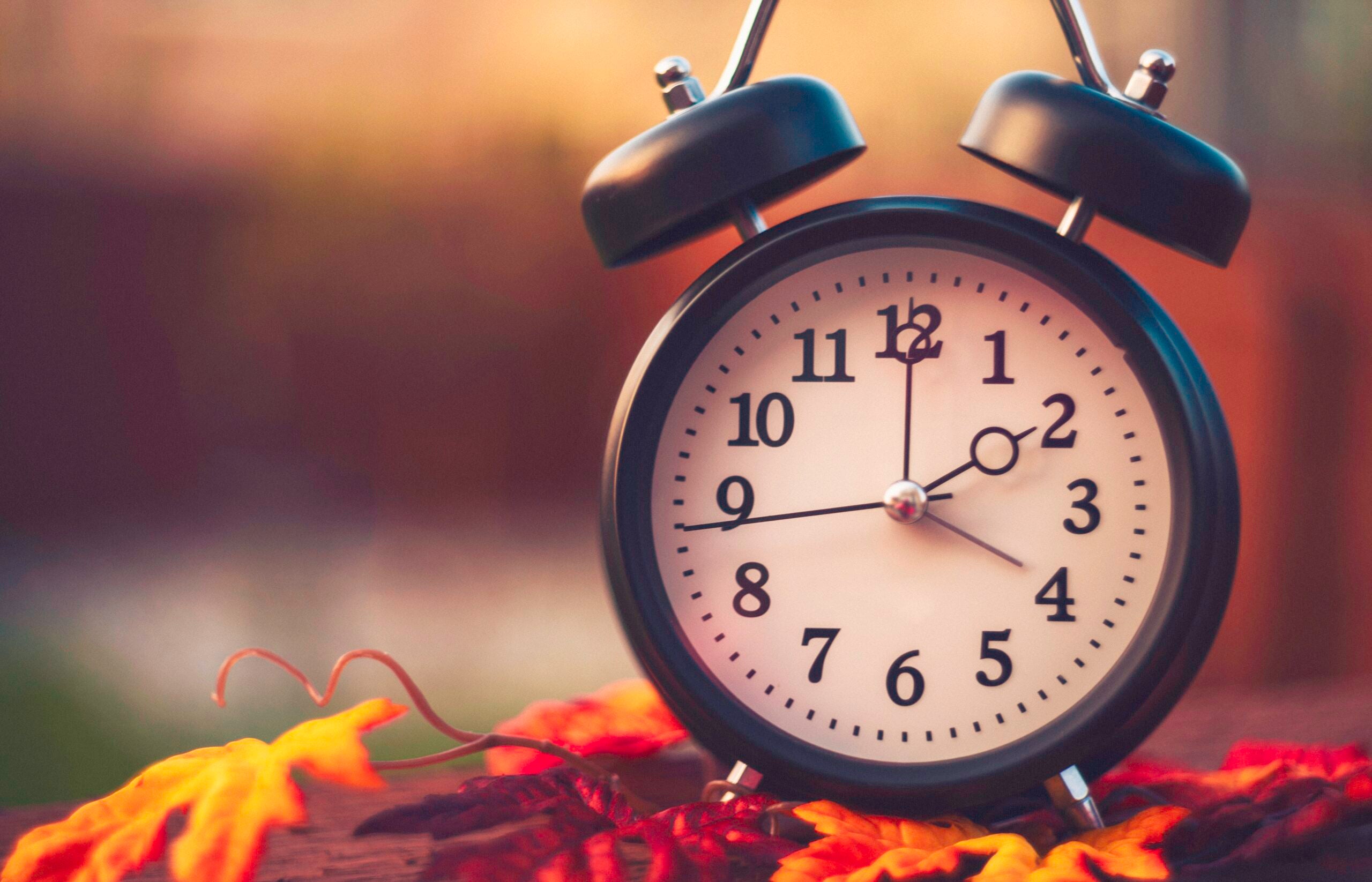 Black analog alarm clock on top of colorful fall leaves