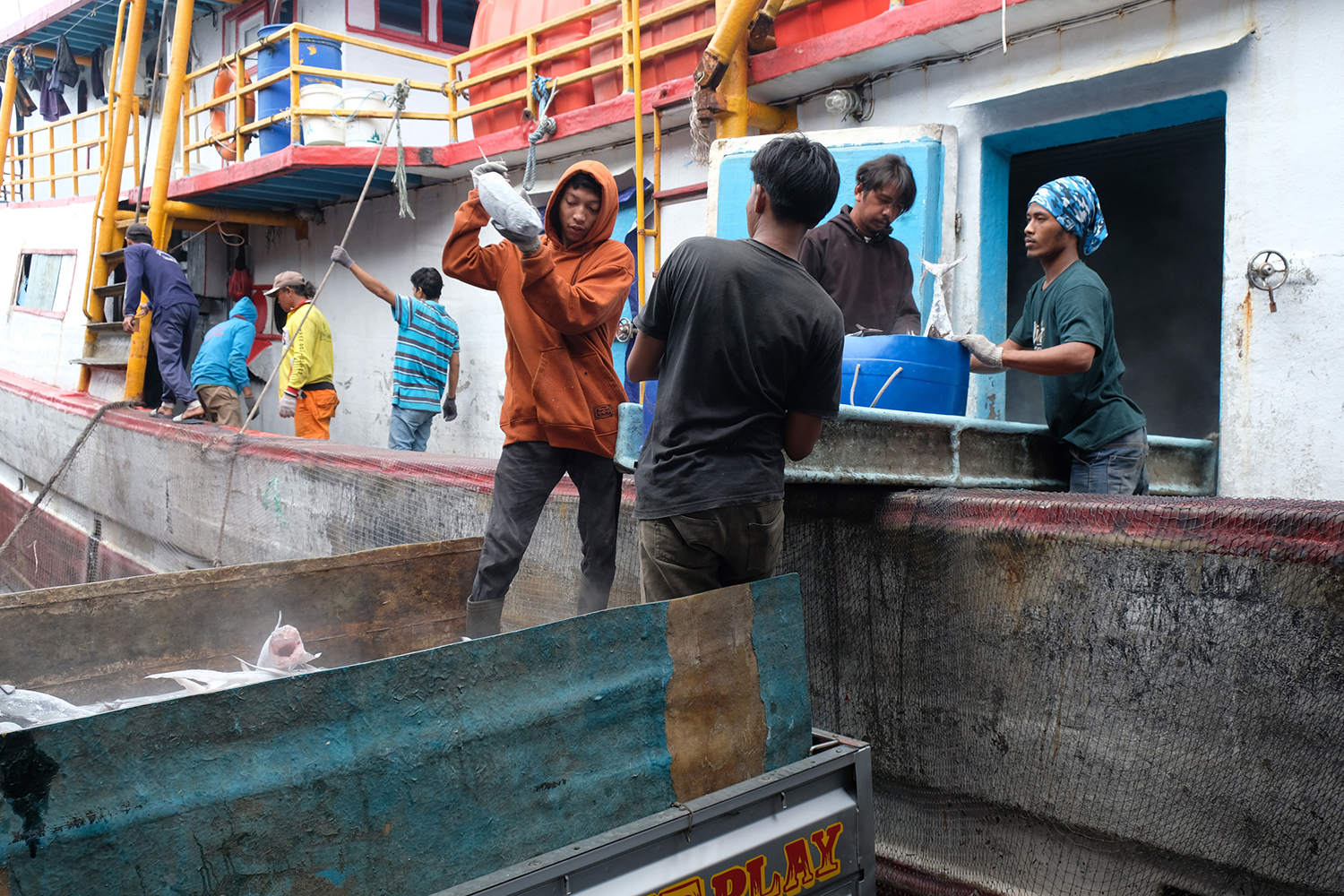 Blue food project taps the ocean’s potential to feed the world image