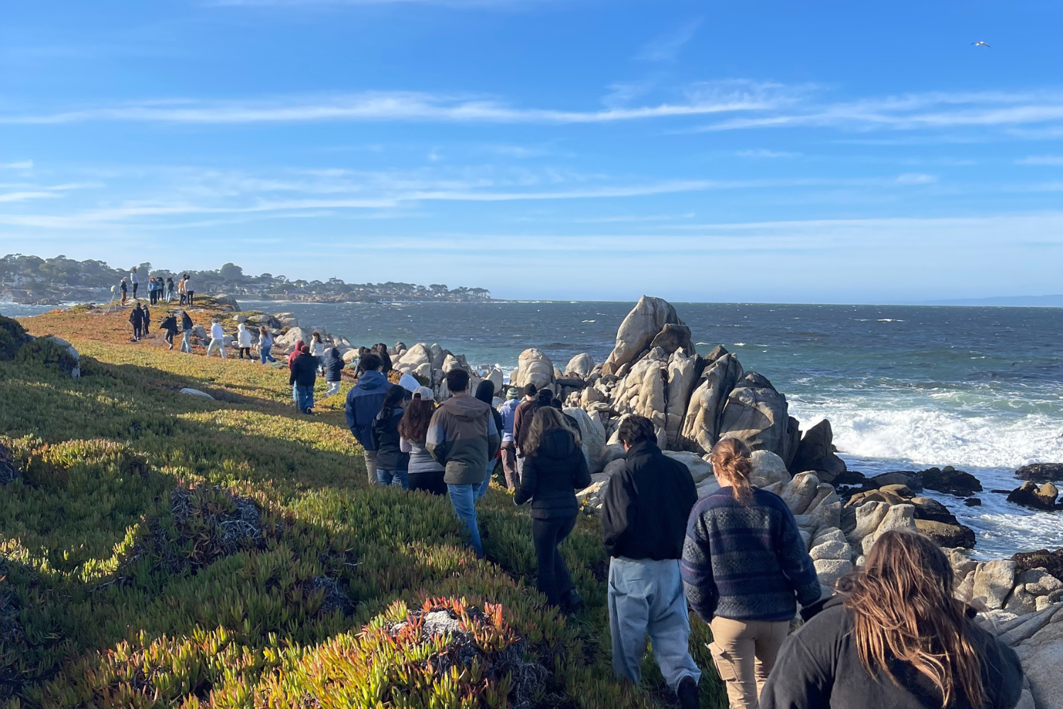 Earth Systems 10 students walk on the bluffs along the coastline near Hopkins Marine Station.