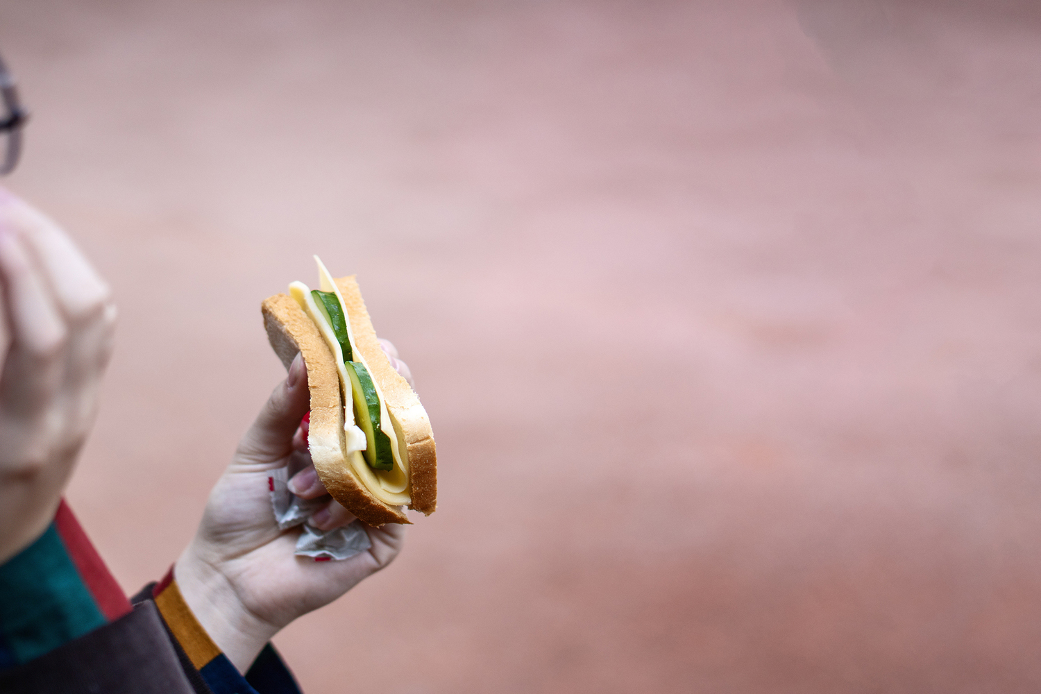 A person holds a sandwich with cheese and vegetables, against a blurred background.