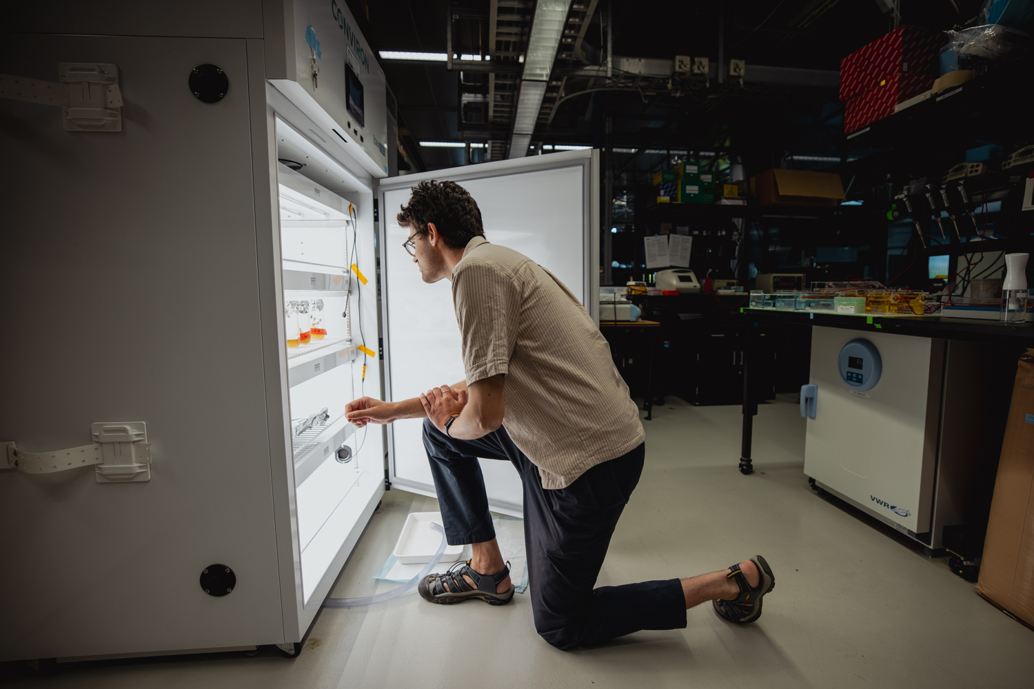 Vayu Hill-Maini kneels on one knee to inspect experiments growing inside a brightly lit lab growth chamber.
