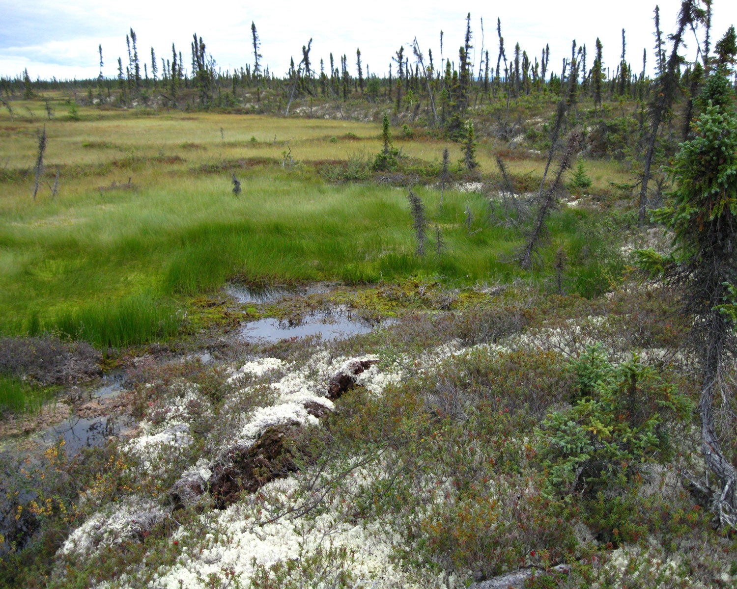 melting permafrost in Alaska