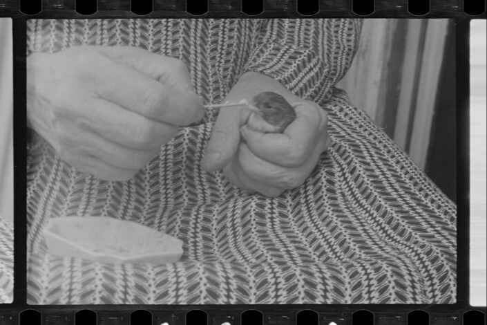 Woman hand-feeding her pet bird, c. 1940.