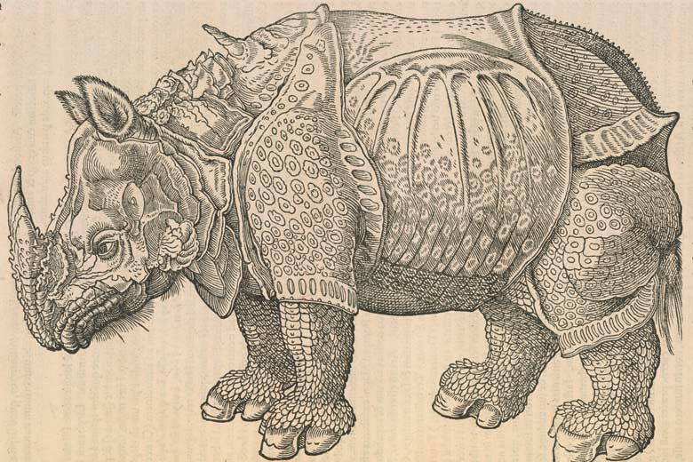 Fantastical image of a rhinoceros