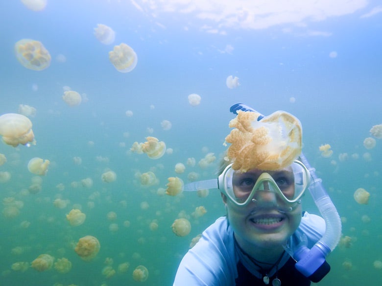 student Meghan Shea diving with jellyfish in the Pacific