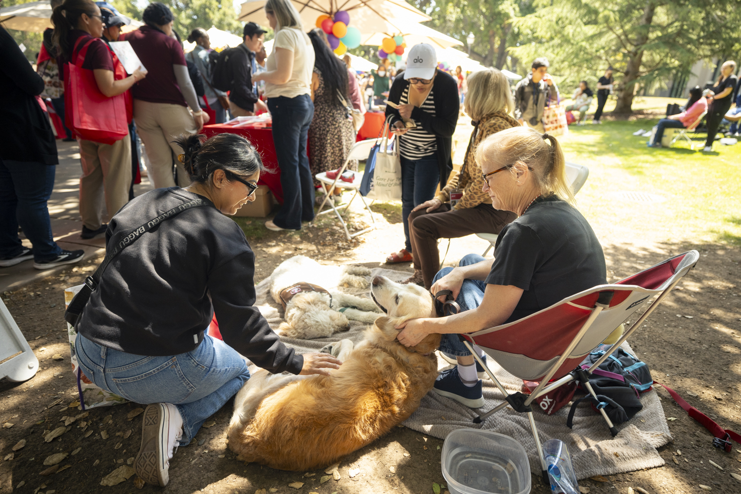Attendees pet dogs.