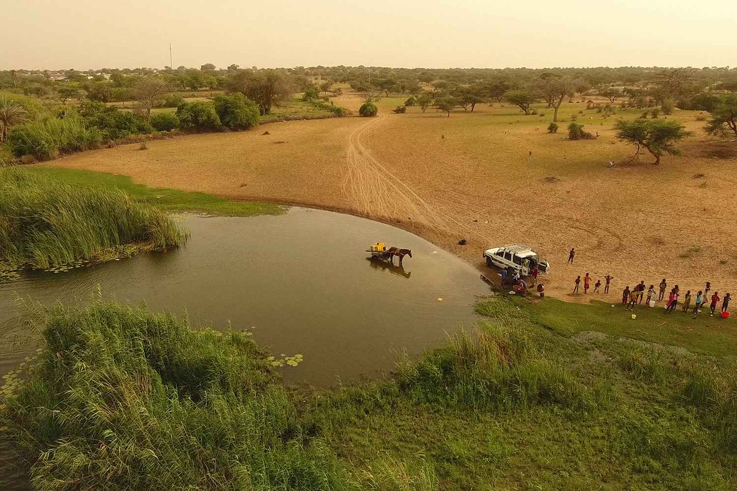 Aerial view of a riverbank with a horse and cart in shallow water, and people gathered along the shore near a parked vehicle.