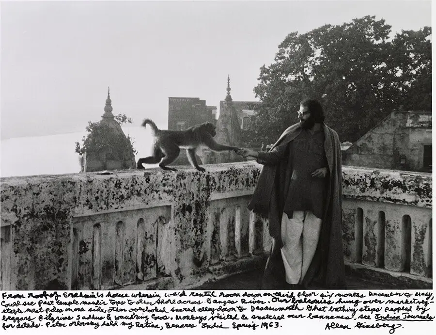 Ginsberg in traditional Indian clothing reaches toward a monkey on a railing, with historic buildings and trees in the background.