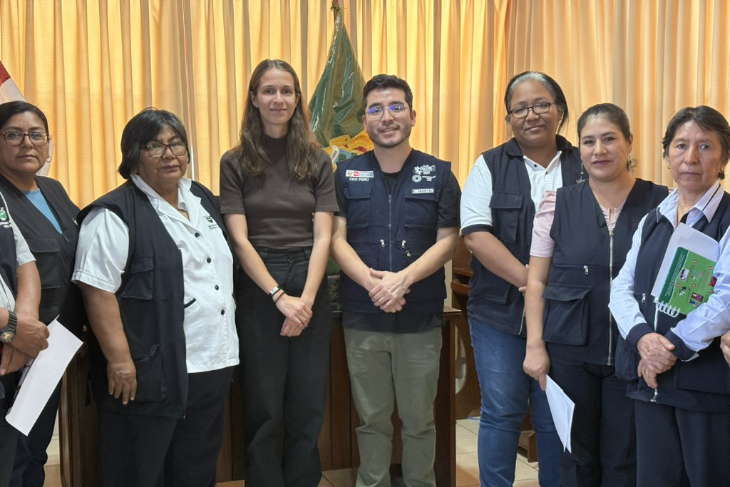 A group of seven public health workers pose together indoors, several wearing CDC Peru and government agency vests.