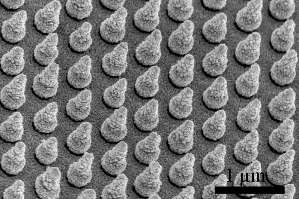 array of silicon nanocones