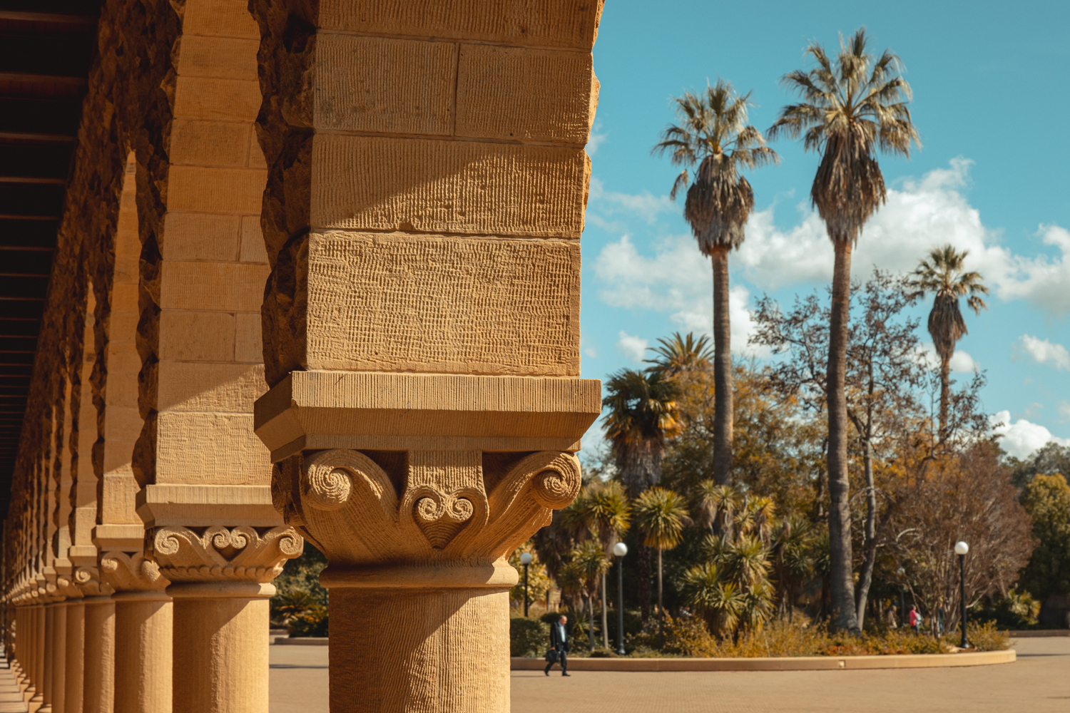 Towering palm trees pose a striking contrast to the Corinthian columns of a Stanford arcade.