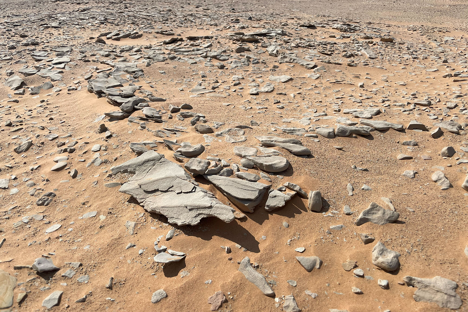 Ancient ripples in the sand formed by water currents being reworked by modern wind-blown sediment in Oman.