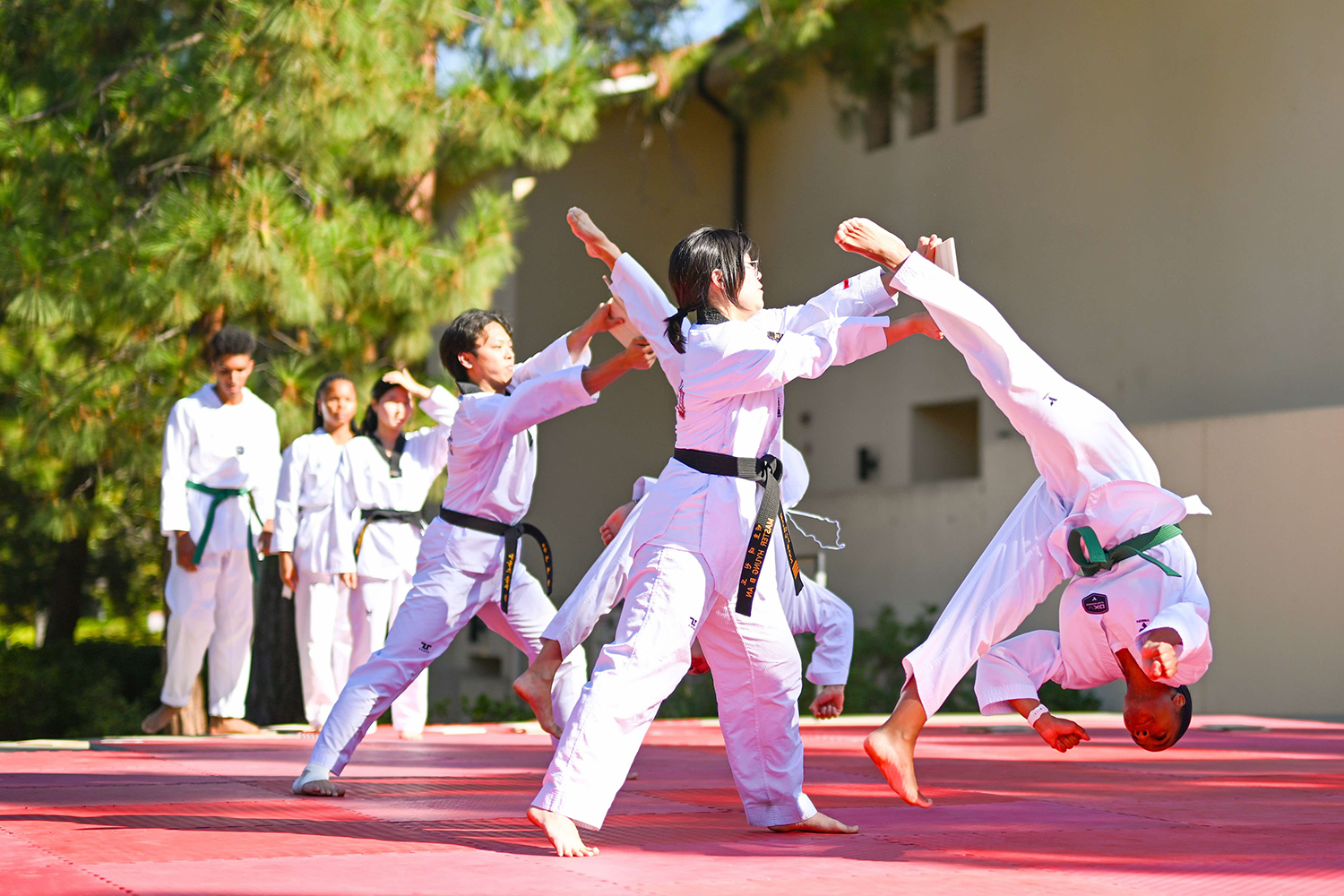martial arts demo