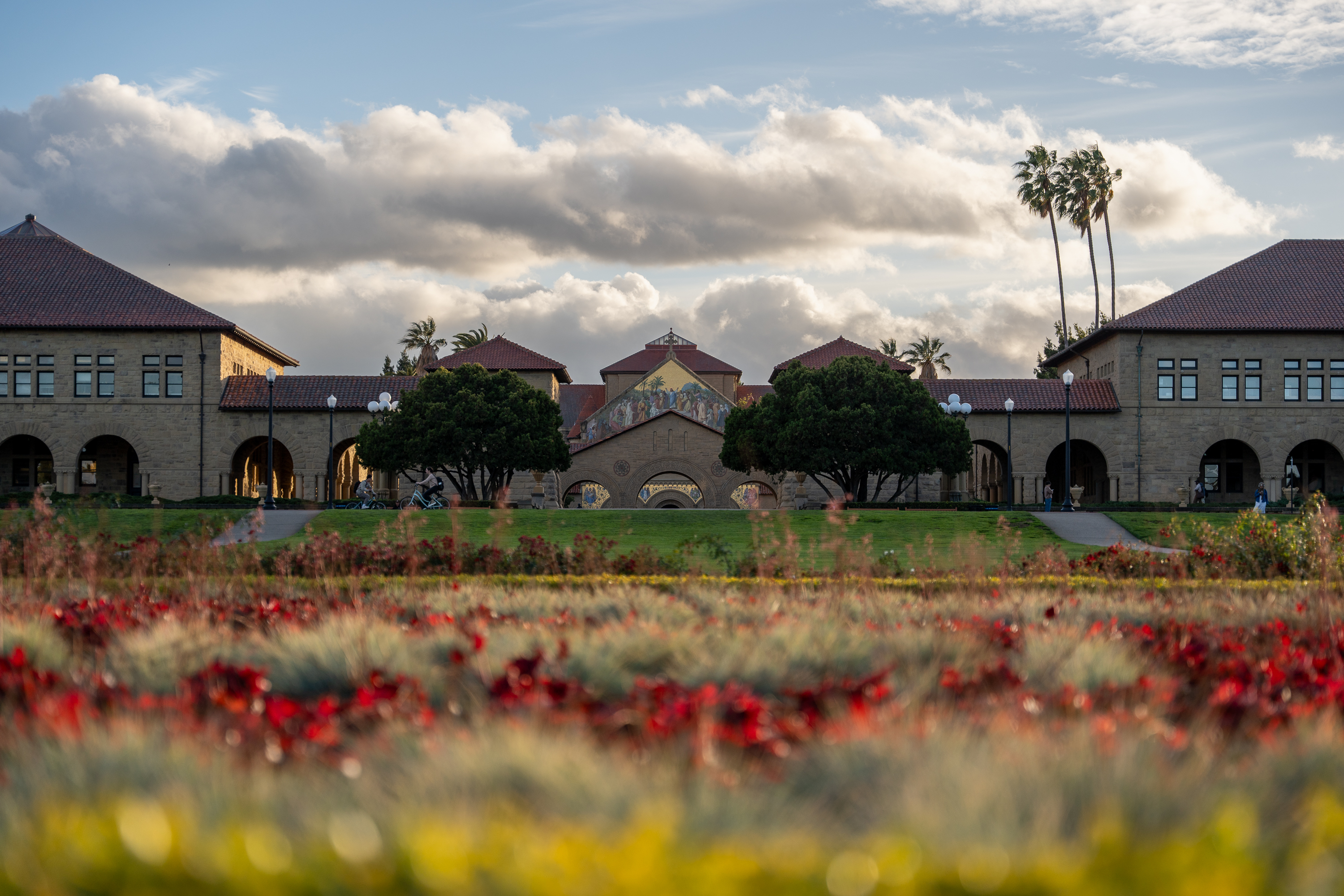 A scenic view of Stanford University’s architecture with palm trees and vibrant flower beds in the foreground.