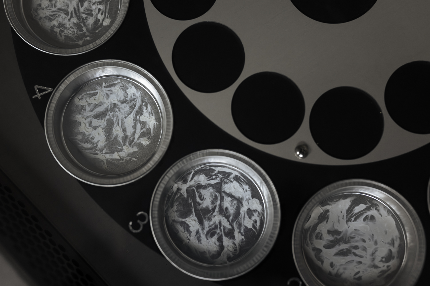 Several petri dishes with salt absorbed from the air.